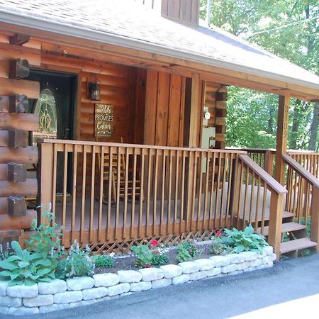 His Promises Cabin Pigeon Forge Exteriér fotografie